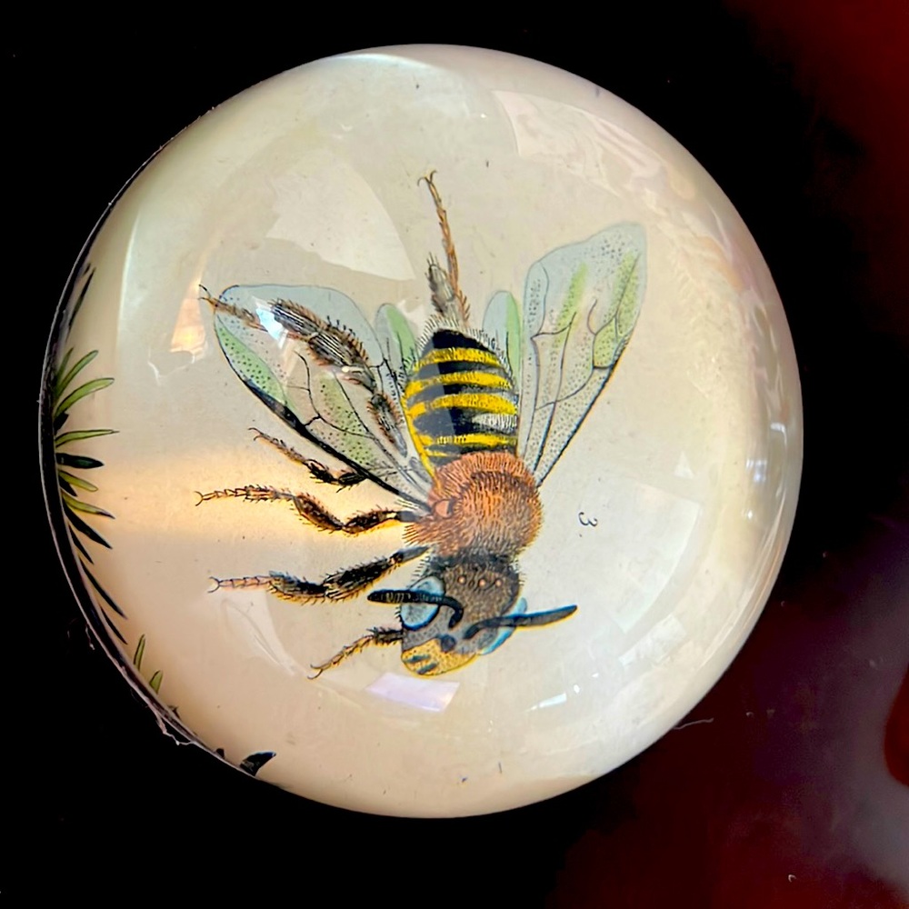 John Derian signed paperweight. Bee design. Like new
